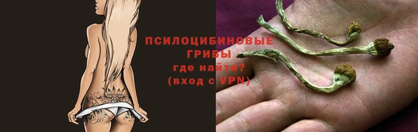 spice Сосновоборск